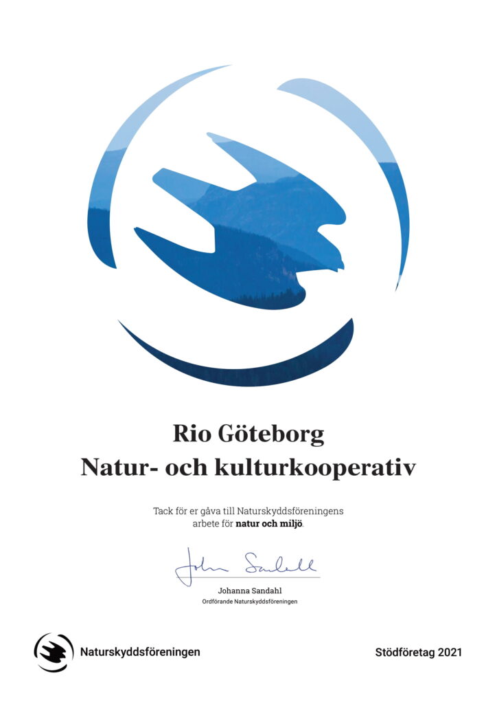 diplom stödföretag